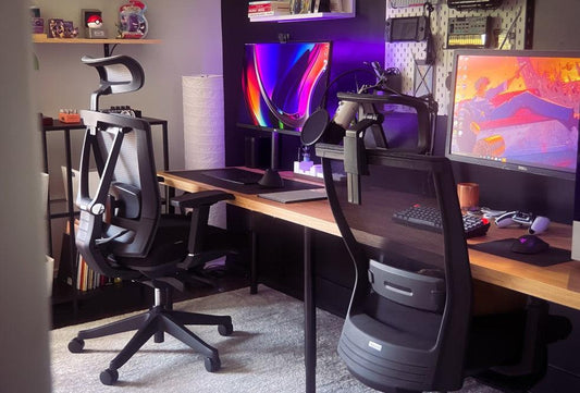 5 Reasons Ergonomic Chairs Will Improve Your Back Pain - EFFYDESK