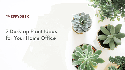7 Desktop Plant Ideas for Your Home Office - EFFYDESK