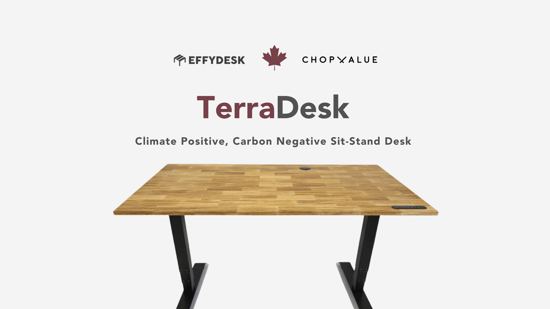 Introducing TerraDesk: Climate Positive, Carbon Negative Sit-Stand Desk Solutions for Your Office - EFFYDESK