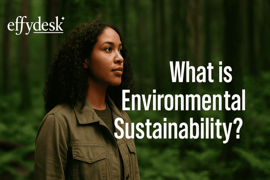 What is Environmental Sustainability? - EFFYDESK