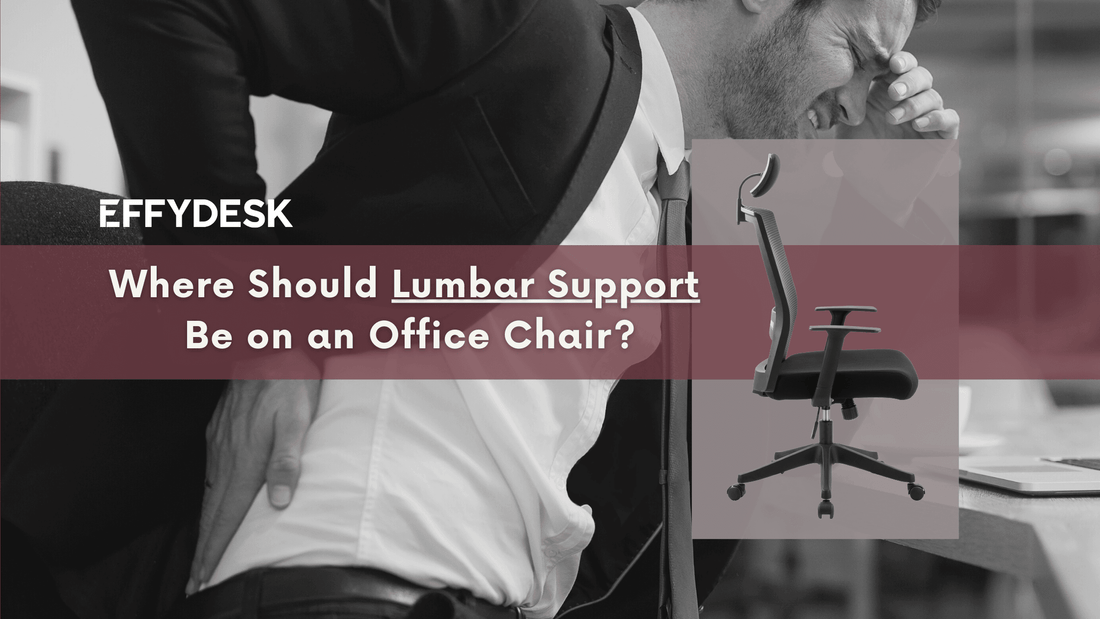 Where Should Lumbar Support Be on an Office Chair? - EFFYDESK