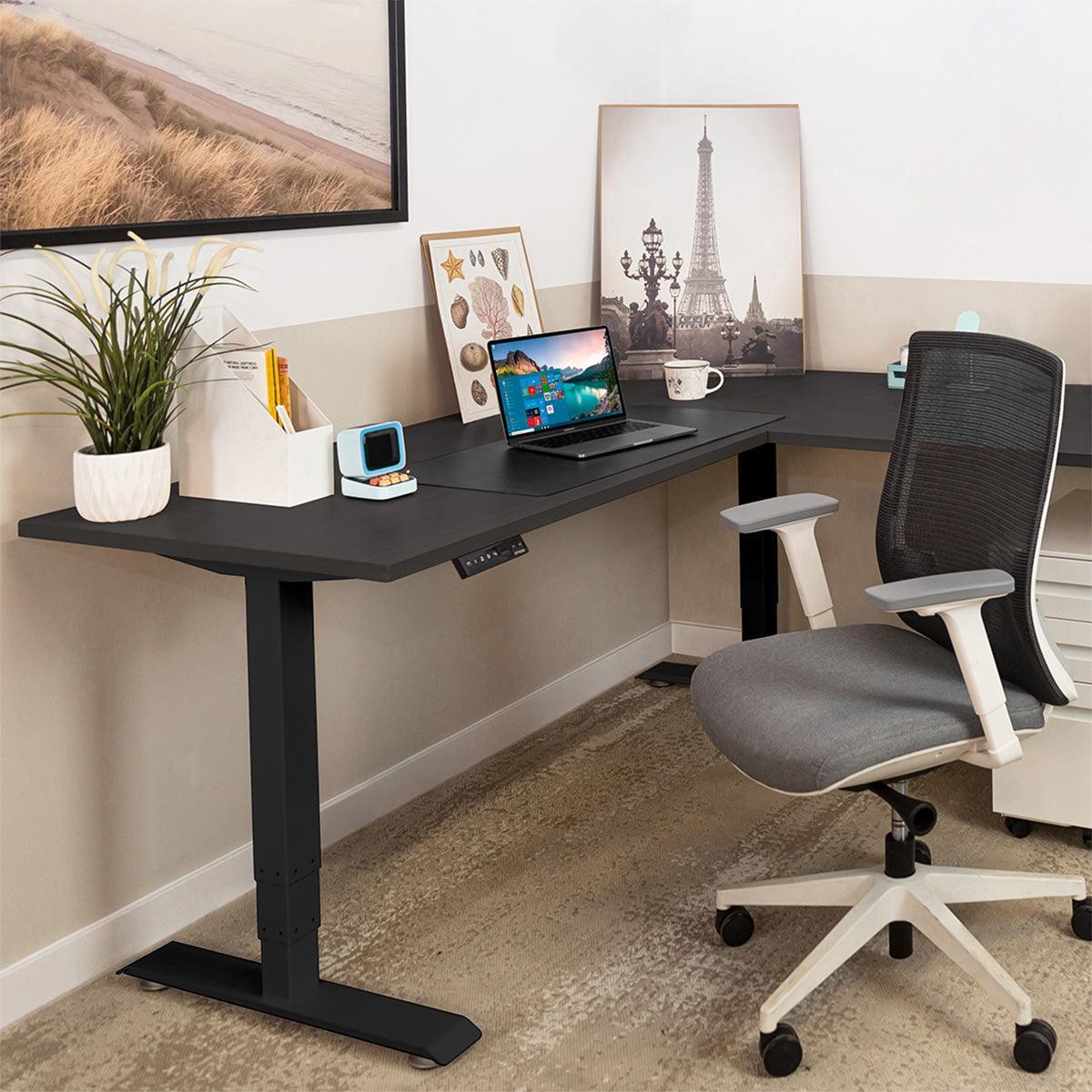 Grove Standing Desk - EFFYDESK