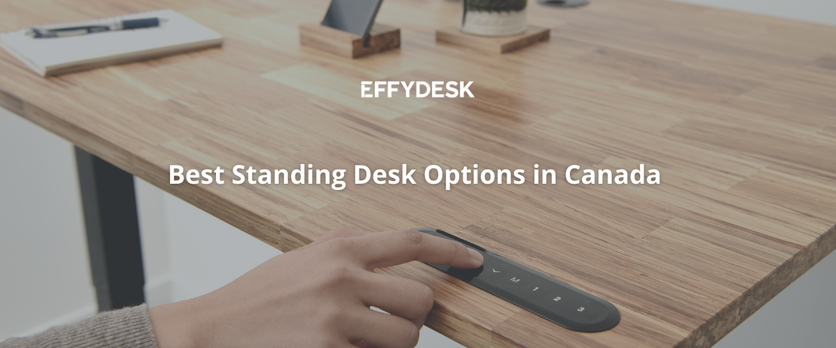 16 Best Standing Desk Options in Canada in 2021 - EFFYDESK Blog Banner