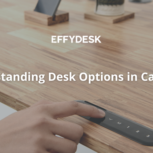 16 Best Standing Desk Options in Canada in 2021 - EFFYDESK Blog Banner