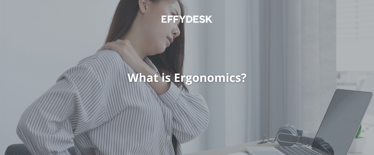 What is Ergonomics? - EFFYDESK Blog Banner | Electric Standing Desk Company