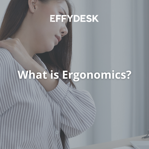 What is Ergonomics? - EFFYDESK Blog Banner | Electric Standing Desk Company