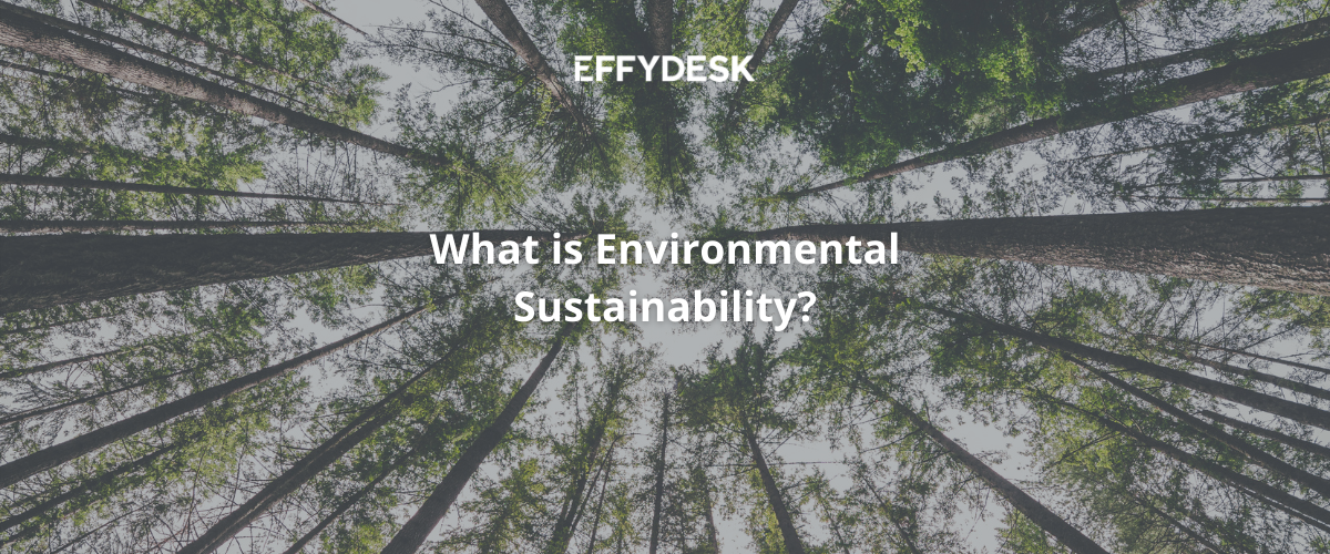 What is Environmental Sustainability?