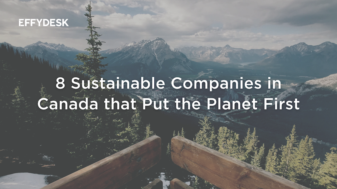 8 Sustainable Companies in Canada that Put the Planet First