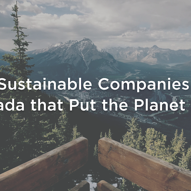 8 Sustainable Companies in Canada that Put the Planet First