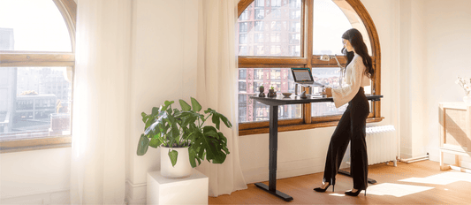 EFFYDESK vs. FlexiSpot: Which Standing Desk Brand Is Better in 2025?