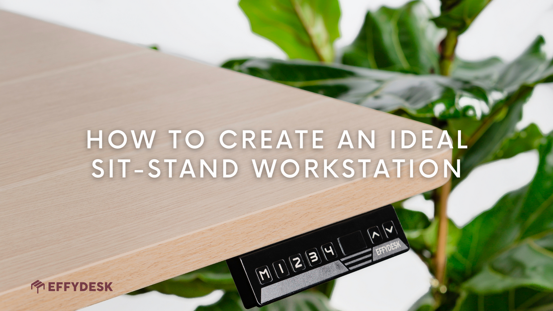 Best Standing Desk Setups: EFFYDESK Reviews and Ergo Tips