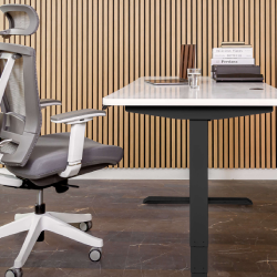 Leather vs Mesh Office Chairs: The Pros and Cons