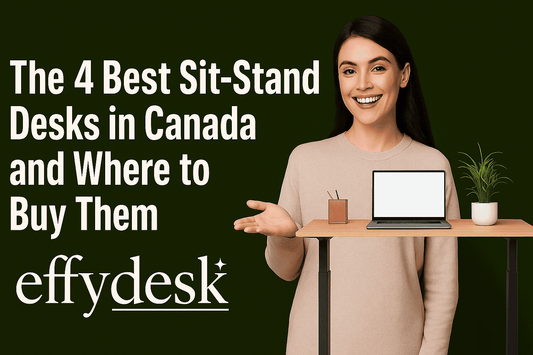 The 4 Best Sit Stand Desks in Canada and Where to Buy Them
