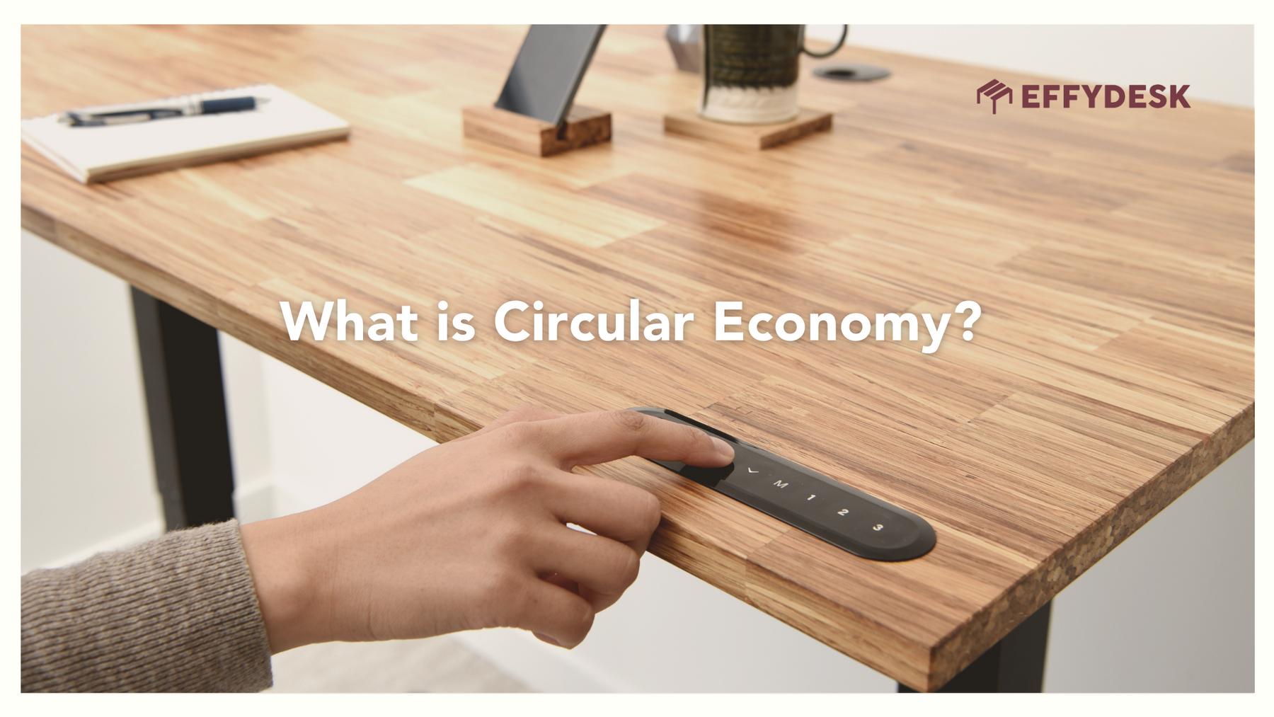 learn about circular economy and using TerraDesk Sustainable Eco-Friendly Standing Desk