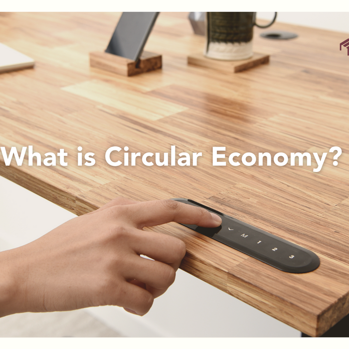 learn about circular economy and using TerraDesk Sustainable Eco-Friendly Standing Desk