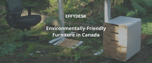 Where Can You Find Environmentally-Friendly Furniture in Canada? - EFFYDESK Blog Banner