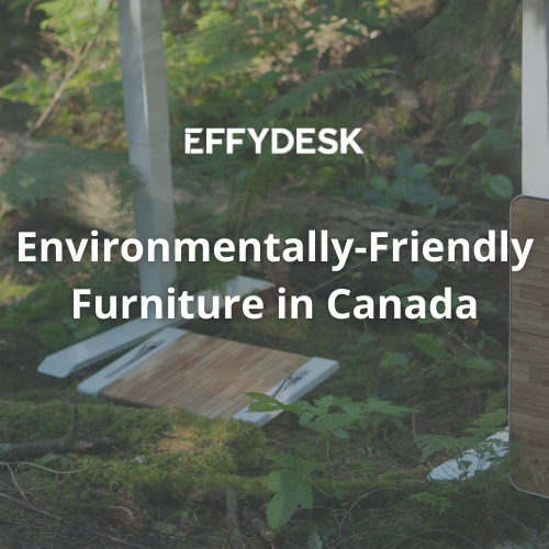 Where Can You Find Environmentally-Friendly Furniture in Canada? - EFFYDESK Blog Banner
