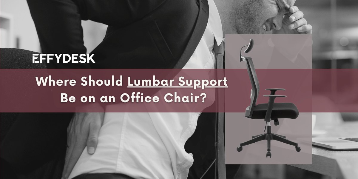 Correct Sitting Posture by Lumbar Support