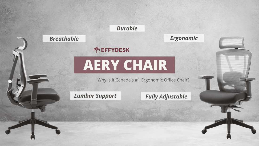 AeryChair: Why Is It Canada’s Best Ergonomic Office Chair? - EFFYDESK