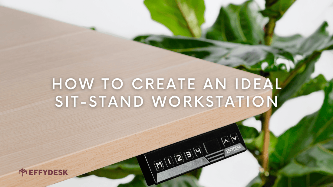 Best Standing Desk Setups: EFFYDESK Reviews and Ergo Tips - EFFYDESK