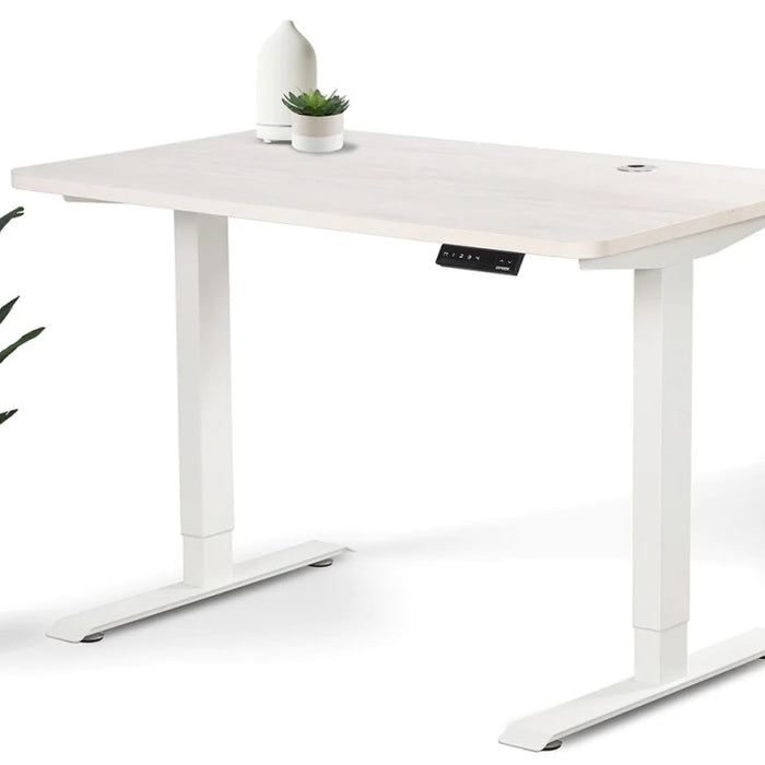 The 3 Best White Standing Desks For Your Workplace or Home Office