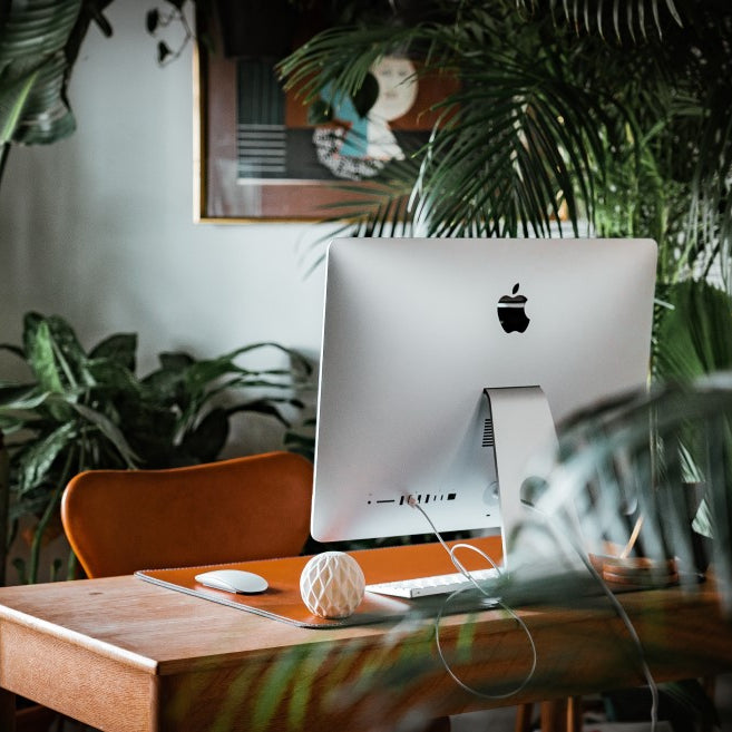 Incorporating Plants into Your Workplace or Home Office