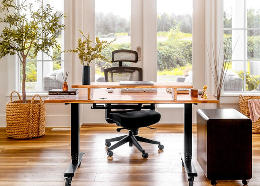 EFFYDESK vs Desky: Which Standing Desk Is Right For You in 2025?