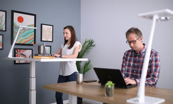 Standing Desks vs Sitting Desks: 5 Key Differences