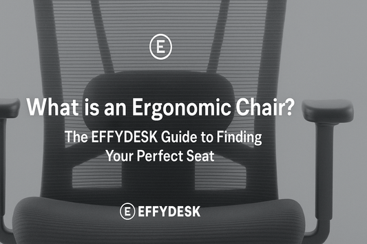 What is an Ergonomic Chair? The EFFYDESK Guide to Finding Your Perfect Seat - EFFYDESK
