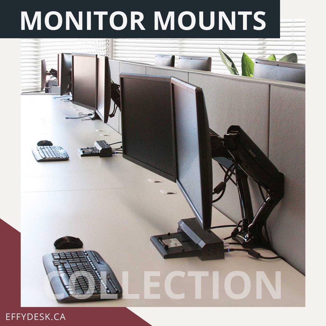 Monitor Arms & Desk Mounts Canada | effydesk