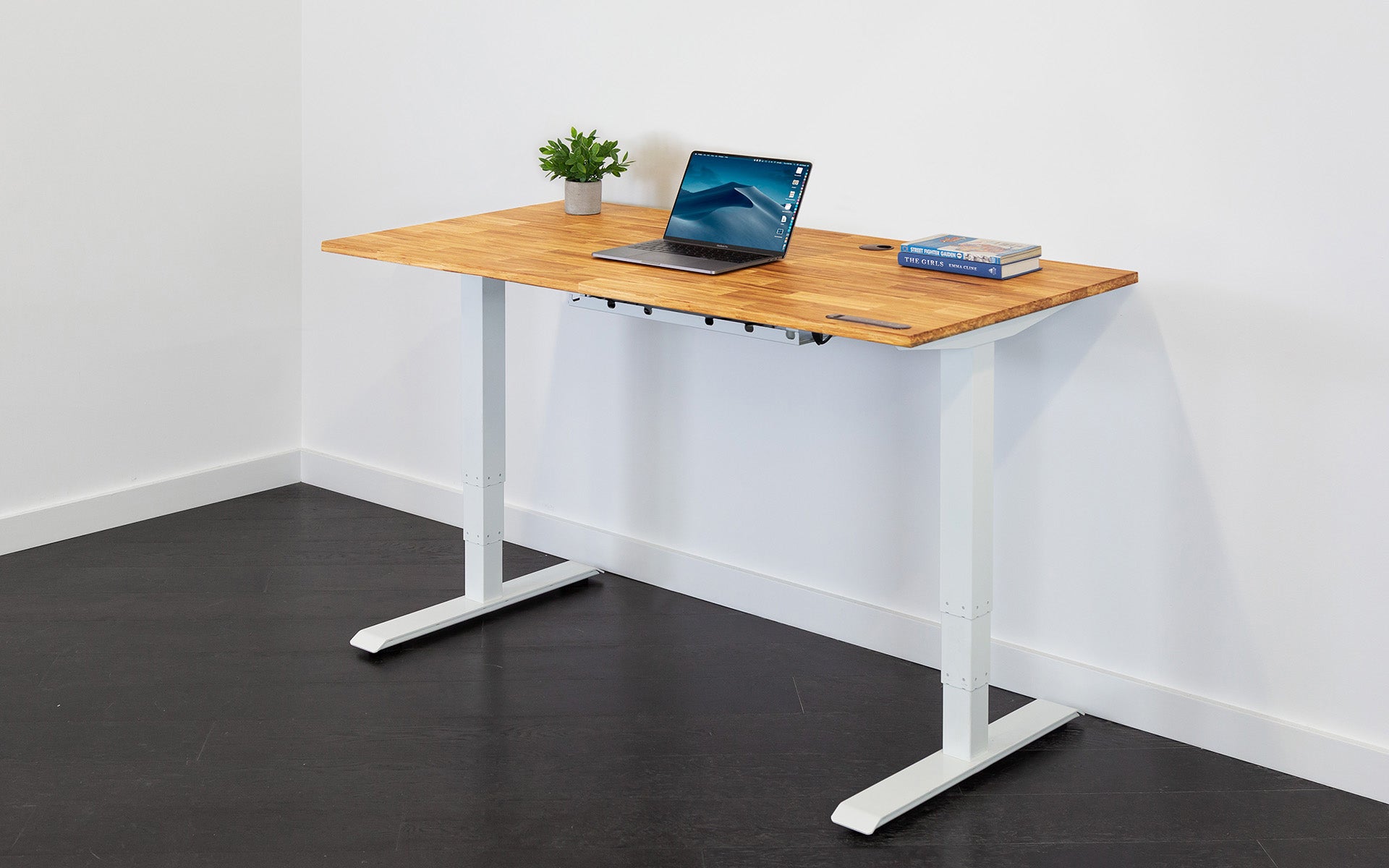 Elegant Design Healthy Height Adjustable Electric Standing Office Desk for  Furniture - China Sit-Stand Desk, Height Adjustable Desk