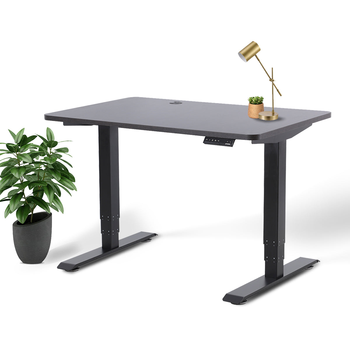 Effy Business Standing Desk
