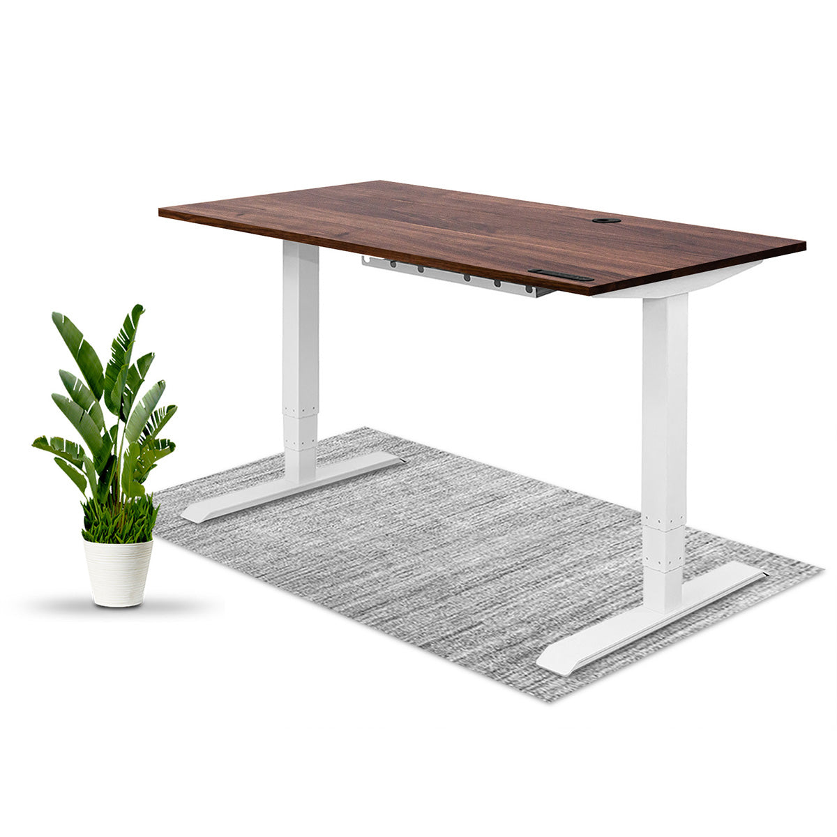 Morgan Adjustable Desk