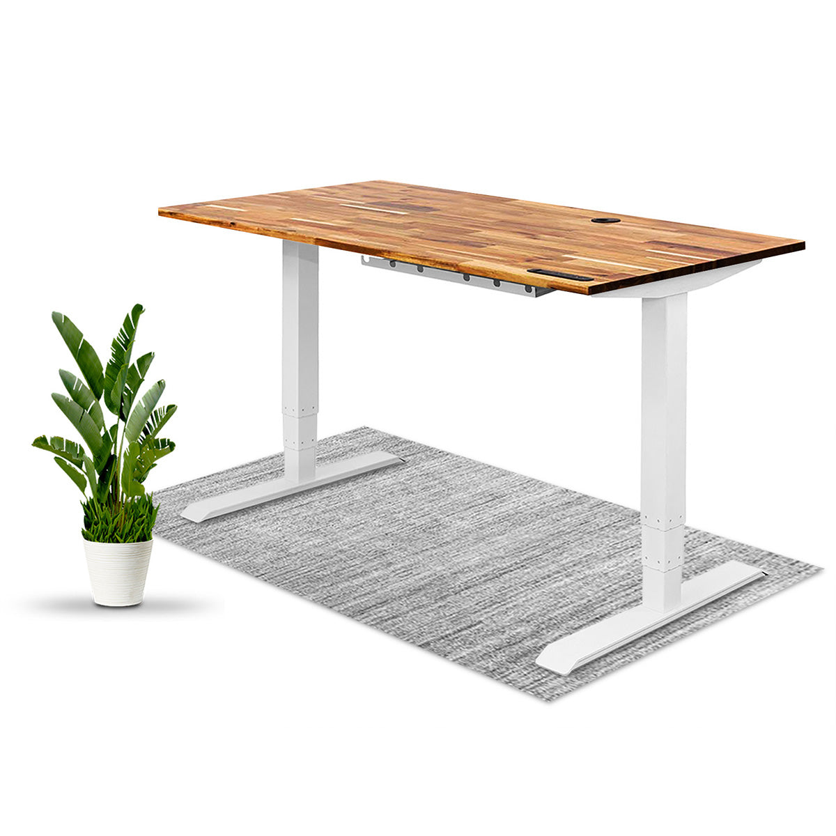 Wildwood Desk - Solid Wood Standing Desk | EFFYDESK