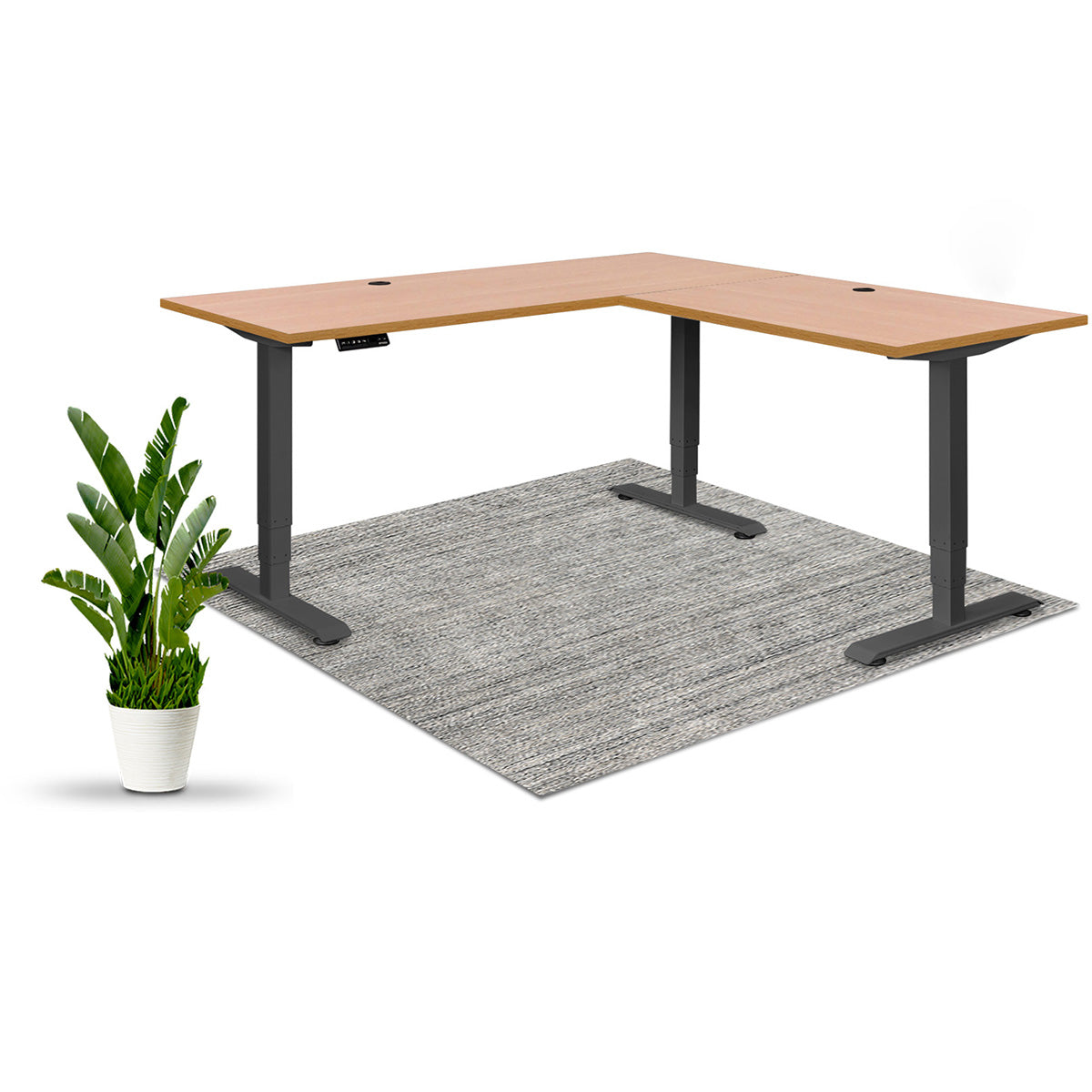 Executive Standing Corner Desk - L Shaped