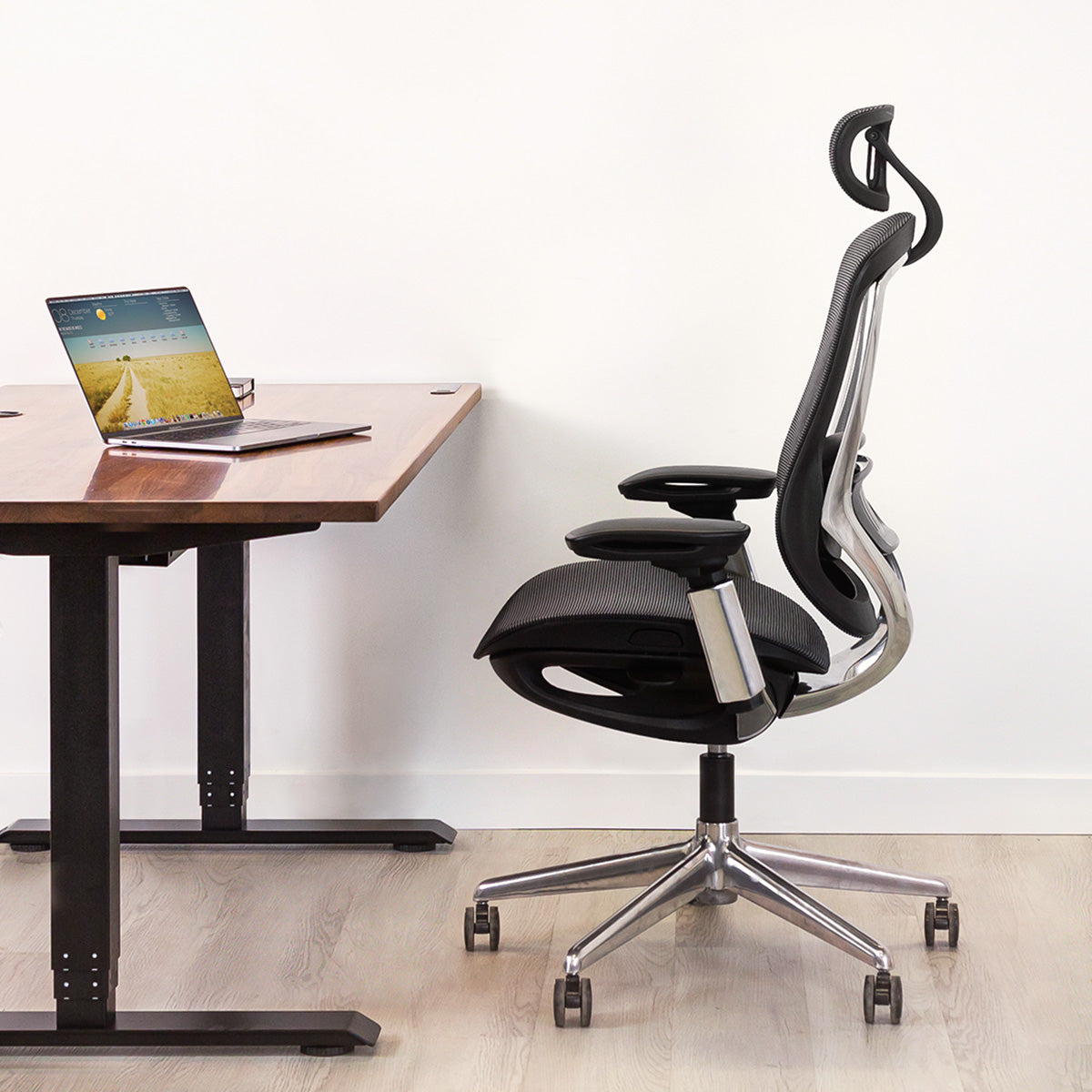 Celini Ergonomic Chair