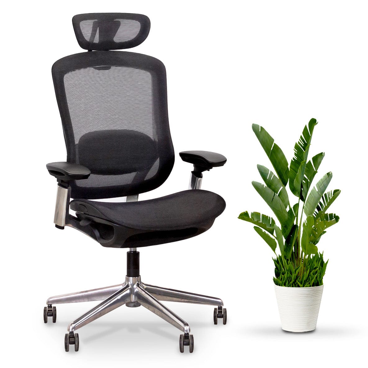 Ergonomic Desk & Office Chairs Canada