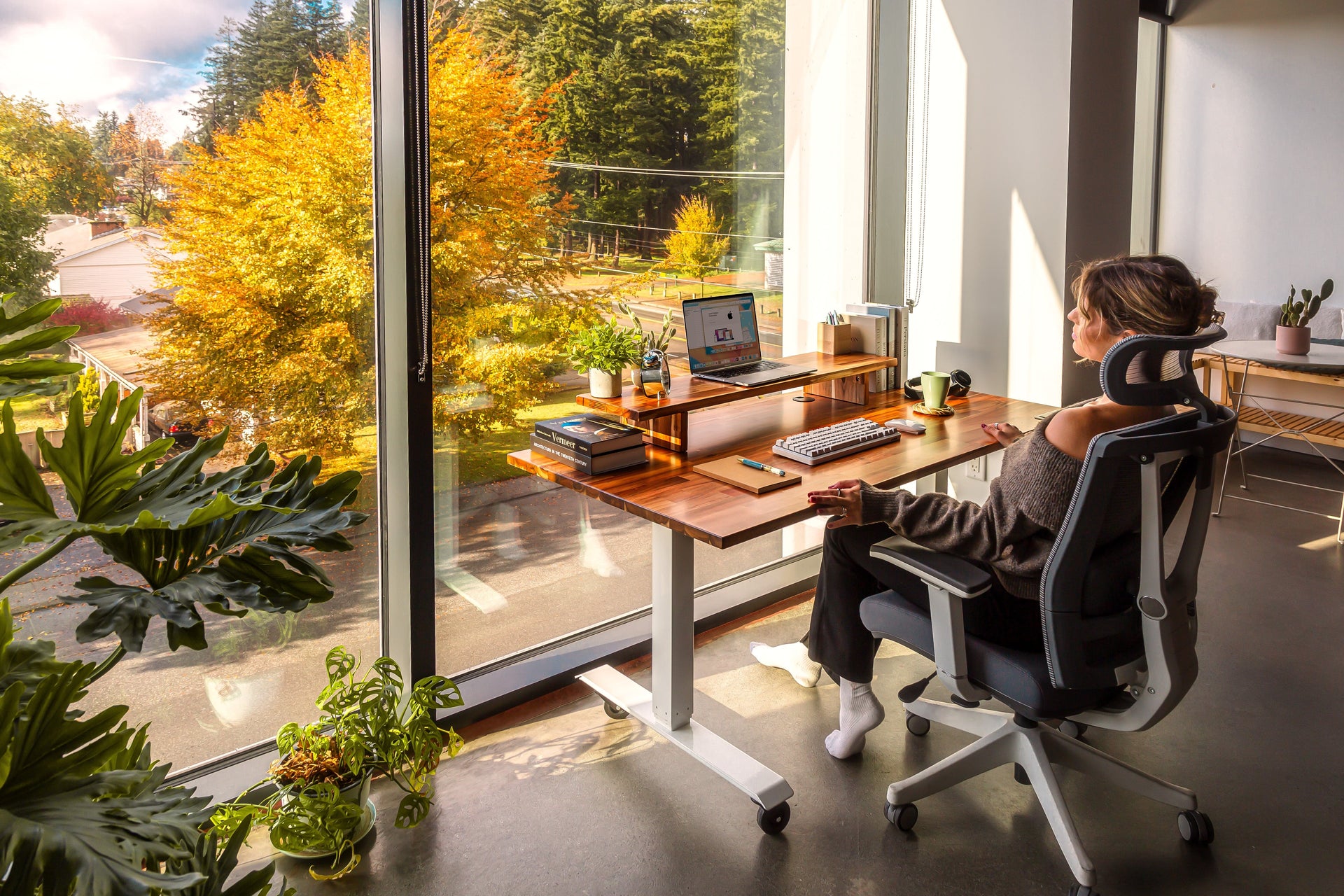 Premium Office Furniture in Hamilton