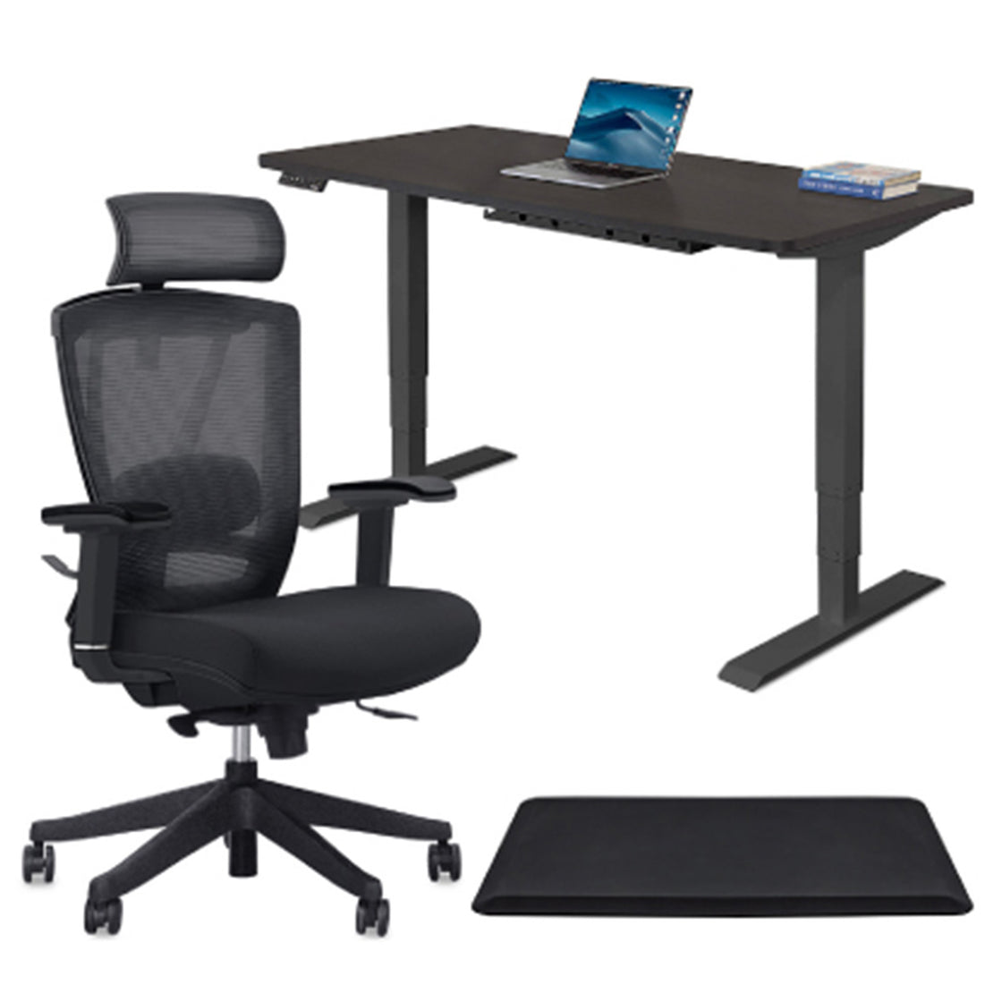 Electric Standing Desks EffyDesk