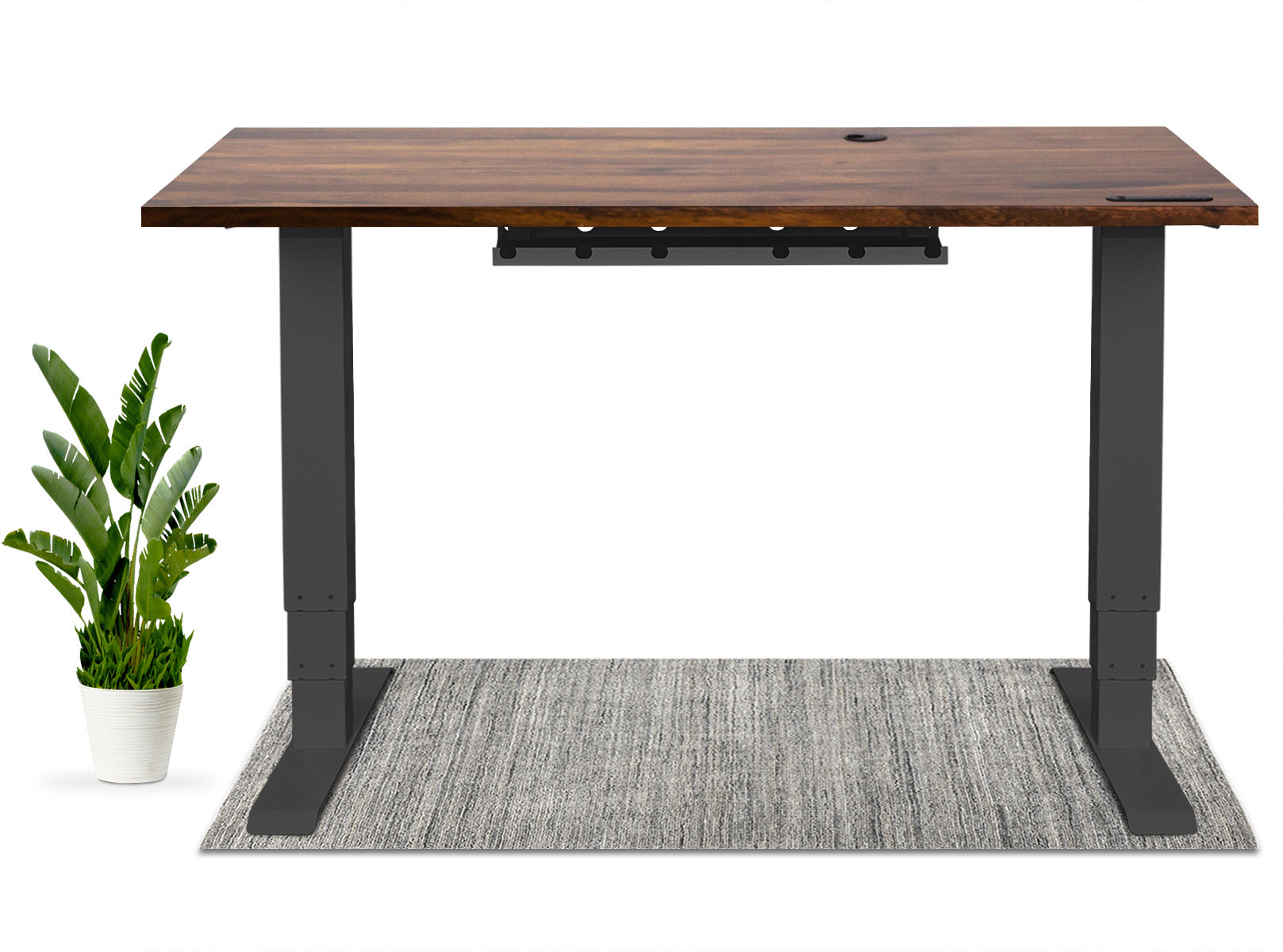 Wildwood Desk - Solid Wood Standing Desk | EFFYDESK