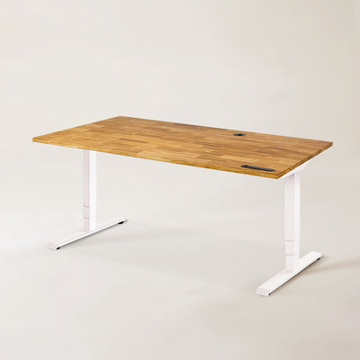 Terra Standing Desk