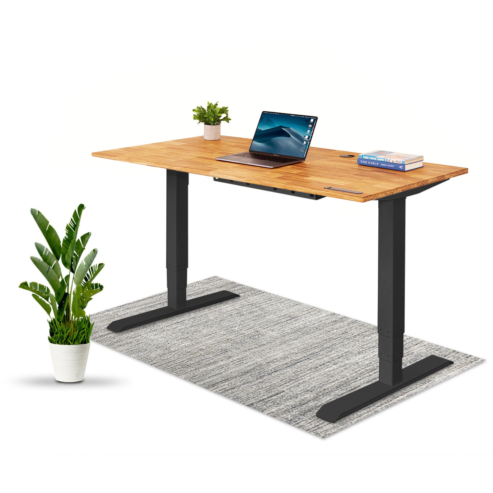 TerraDesk | Eco-Friendly Height-Adjustable Electric Standing Desk