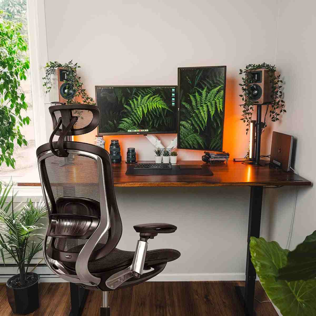 Arbor Bundle - EFFYDESK