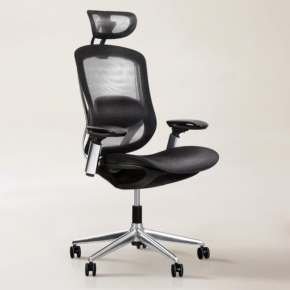 Celini Ergonomic Chair - EFFYDESK