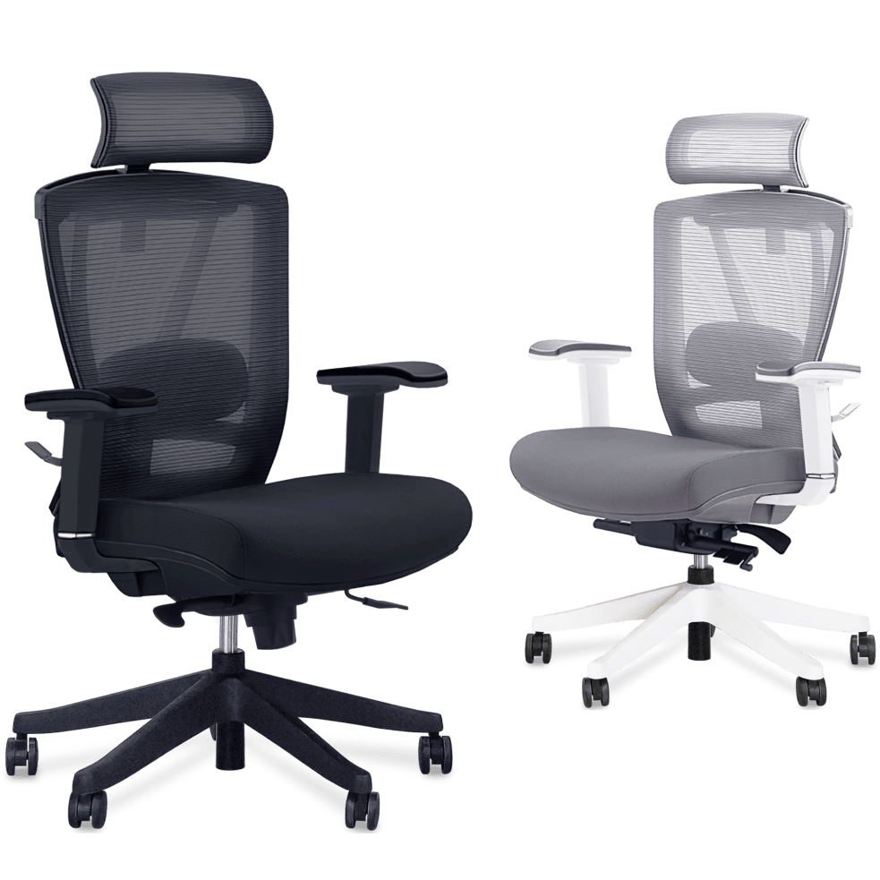 Optimizing Comfort Navigating Your Ergonomic Chair Choices EFFYDESK