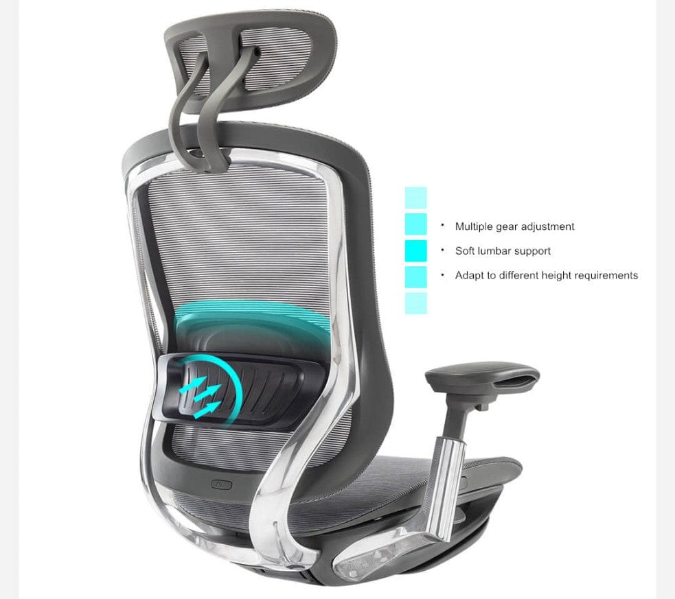 Adjustable Features 5 Key Features to Look for in an Ergonomic Office Chair | EFFYDESK