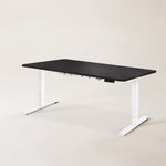 Nimble Standing Desk - EFFYDESK
