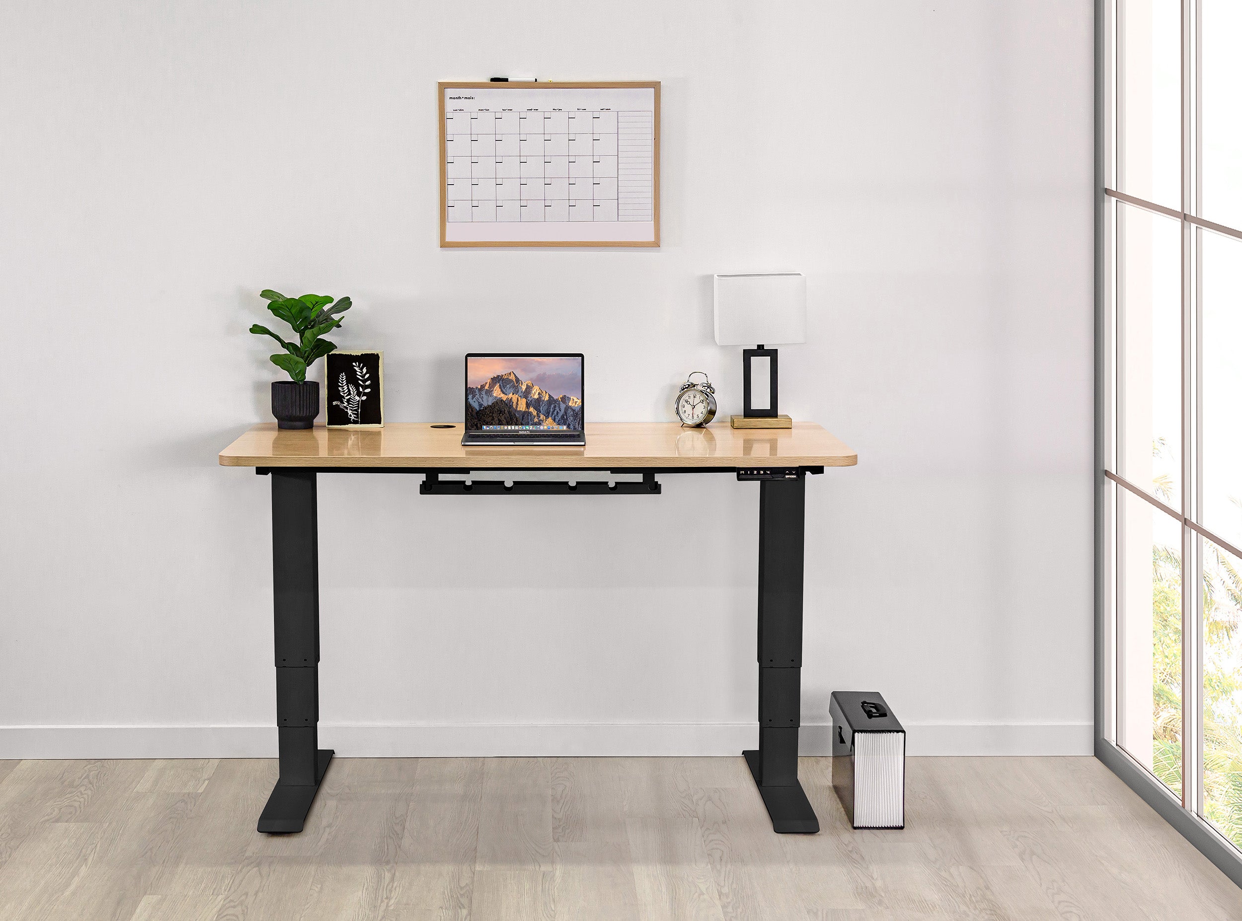 Standing Desks - Desks for Working while Standing Up - HSN