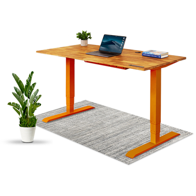 TerraDesk | Eco-Friendly Height-Adjustable Electric Standing Desk
