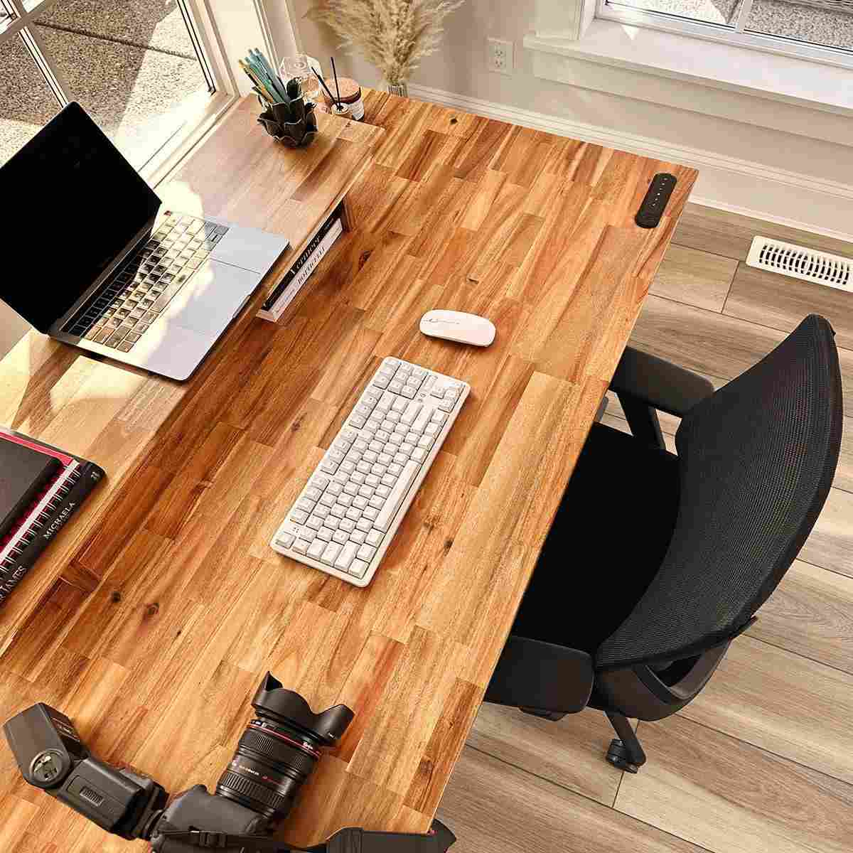 Wildwood Bundle - EFFYDESK